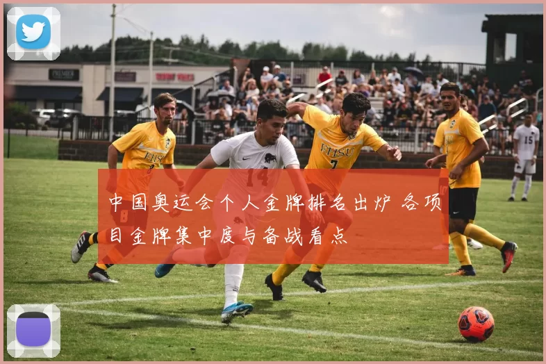 中国奥运会个人金牌排名出炉 各项目金牌集中度与备战看点